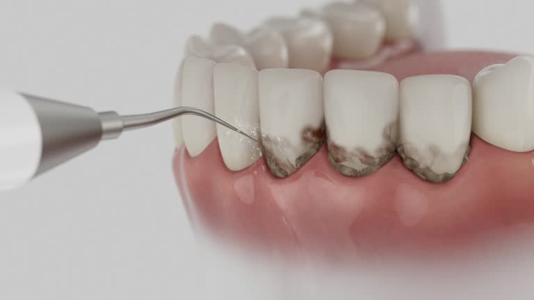 Reliable Dental contractor in Greenock, PA by Dentist Open Now
